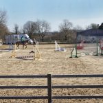 Saxon Equestrian, Show Jumping Clinic at Llanharry, Pontyclun
